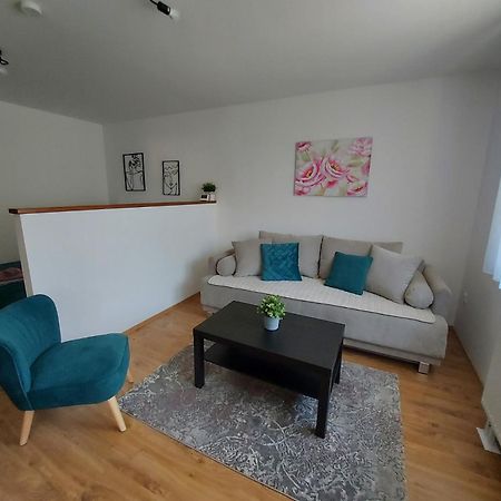 Apartament Garden House Nowy Sad Zewnętrze zdjęcie